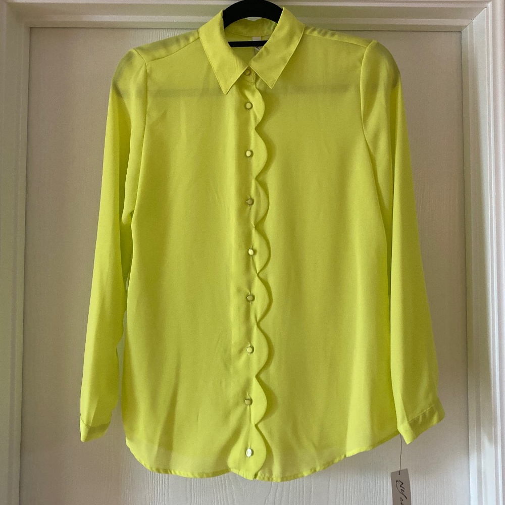 NY Collection Sheer Blouse Long Sleeve